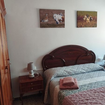 Apartamento Las Fuentes Sierra de Fuentes المظهر الخارجي الصورة